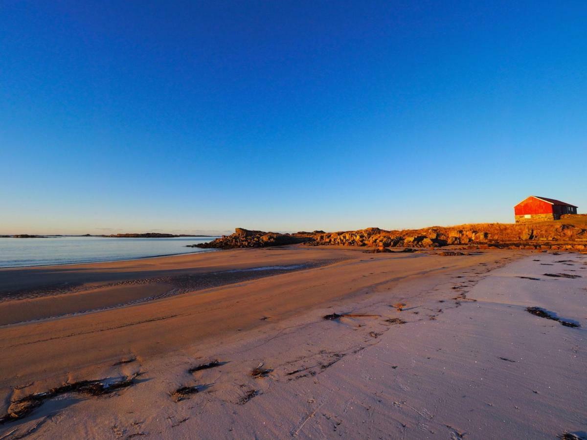 Midnight Sun View Lofoten Лекнес Экстерьер фото